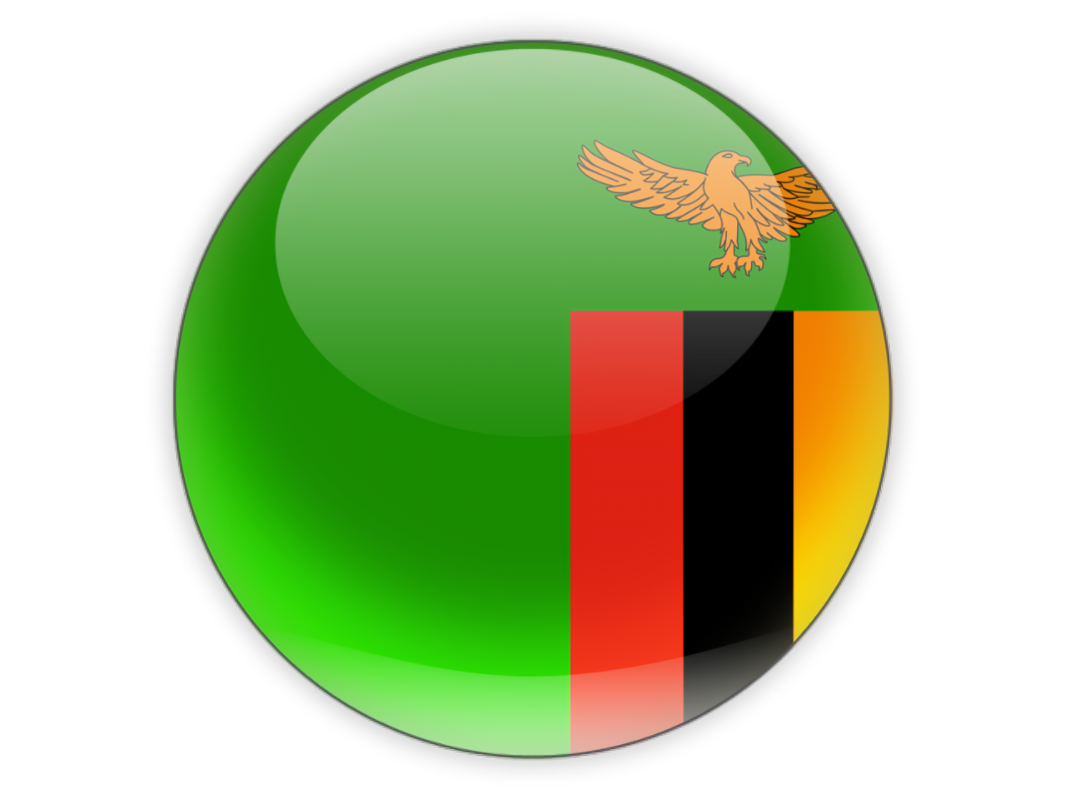Zambia Flag